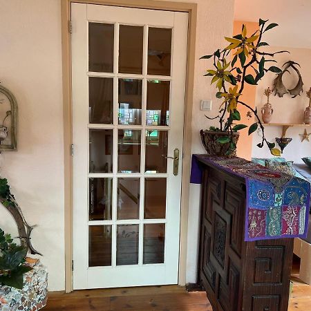 La Cabana Zandvoort Ngoại thất bức ảnh